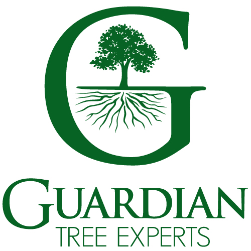 guardian_logo_squaregoog (2)